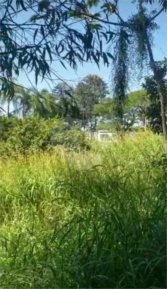 Terreno, 1000 m² - Foto 2