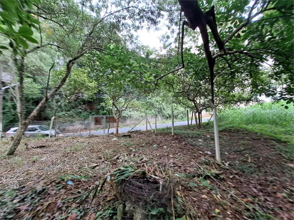 Terreno, 712 m² - Foto 4