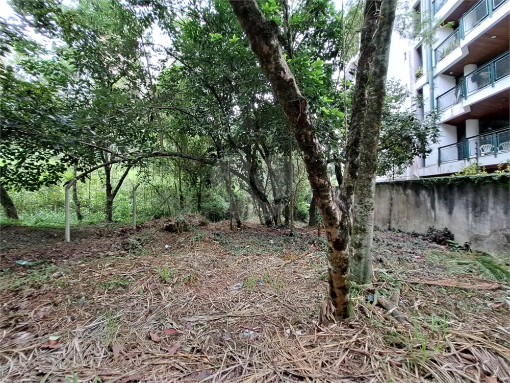 Terreno, 712 m² - Foto 3