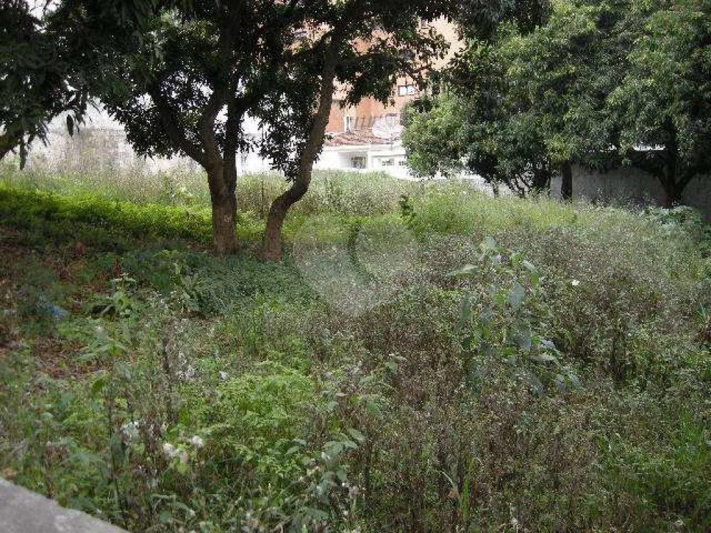 Terreno, 981 m² - Foto 1