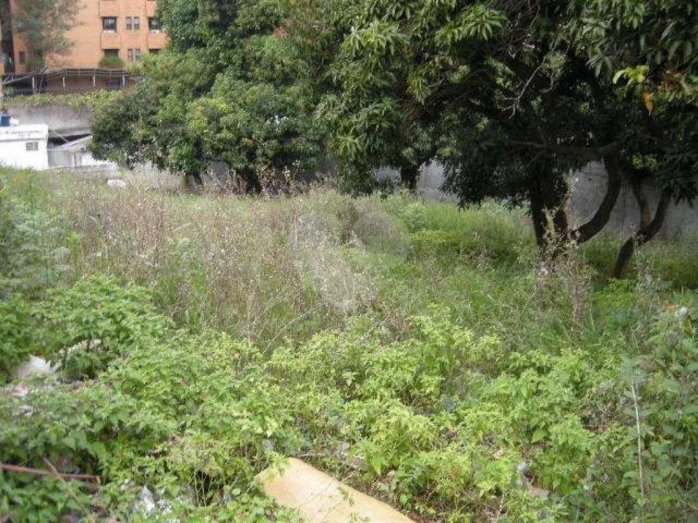 Terreno, 981 m² - Foto 2