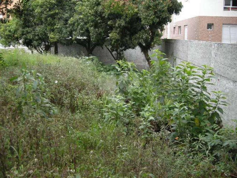 Terreno, 981 m² - Foto 4