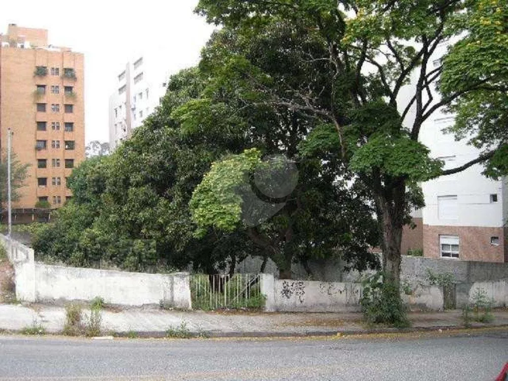 Terreno, 981 m² - Foto 3