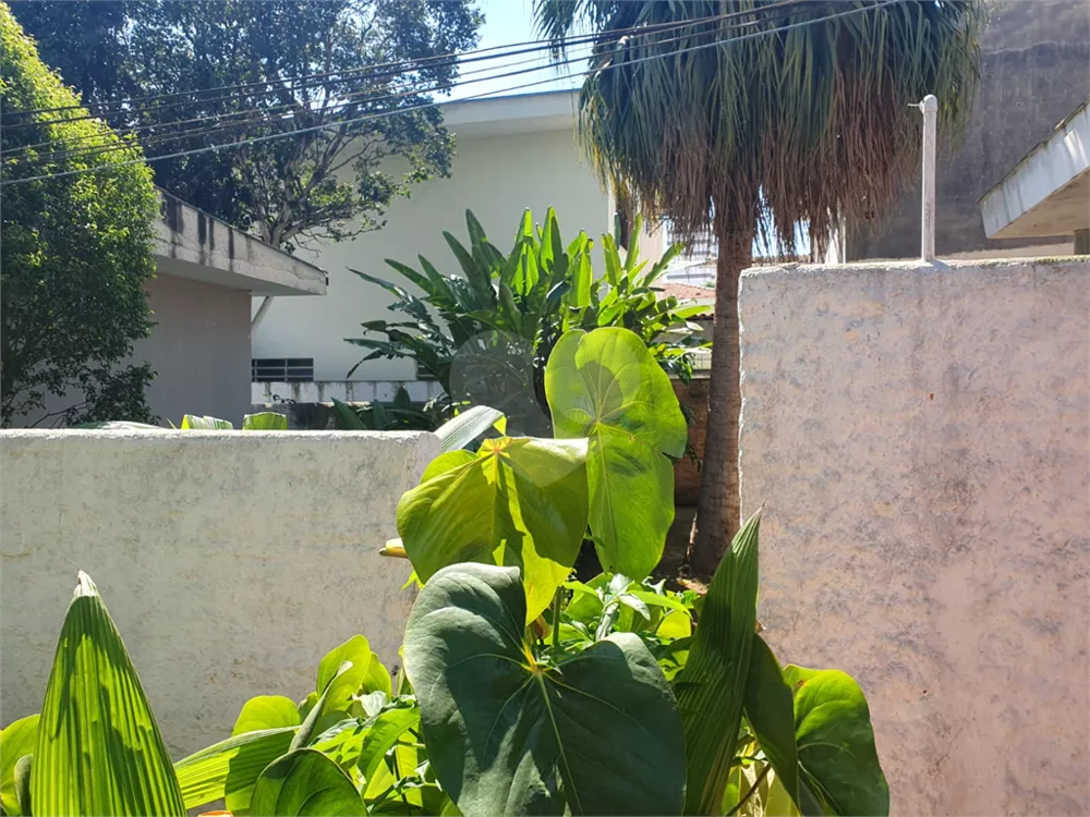 Casa, 4 quartos, 250 m² - Foto 4