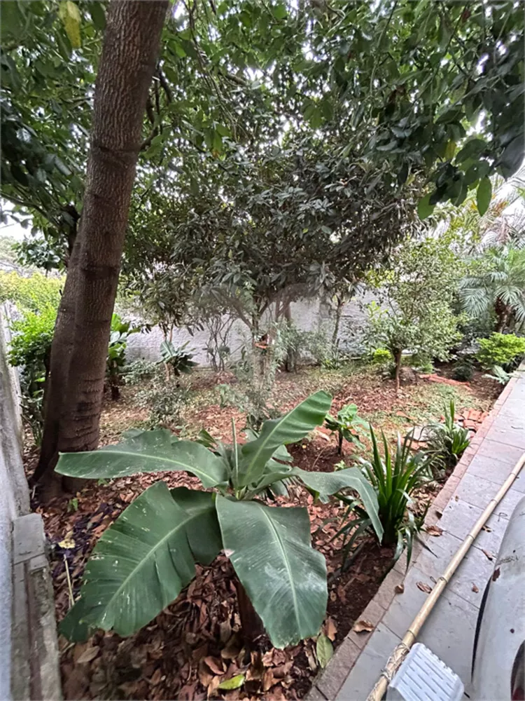 Casa, 3 quartos, 350 m² - Foto 4