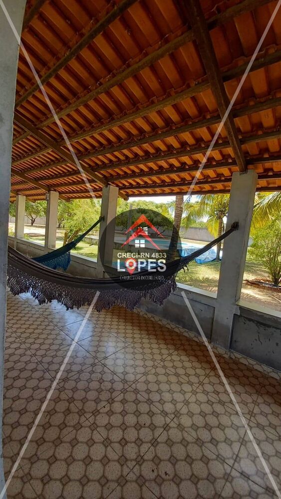 Sítio à venda com 2 quartos, 5000m² - Foto 4