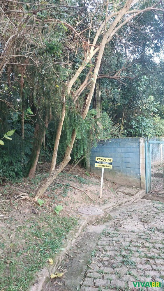 Terreno, 156 m² - Foto 3
