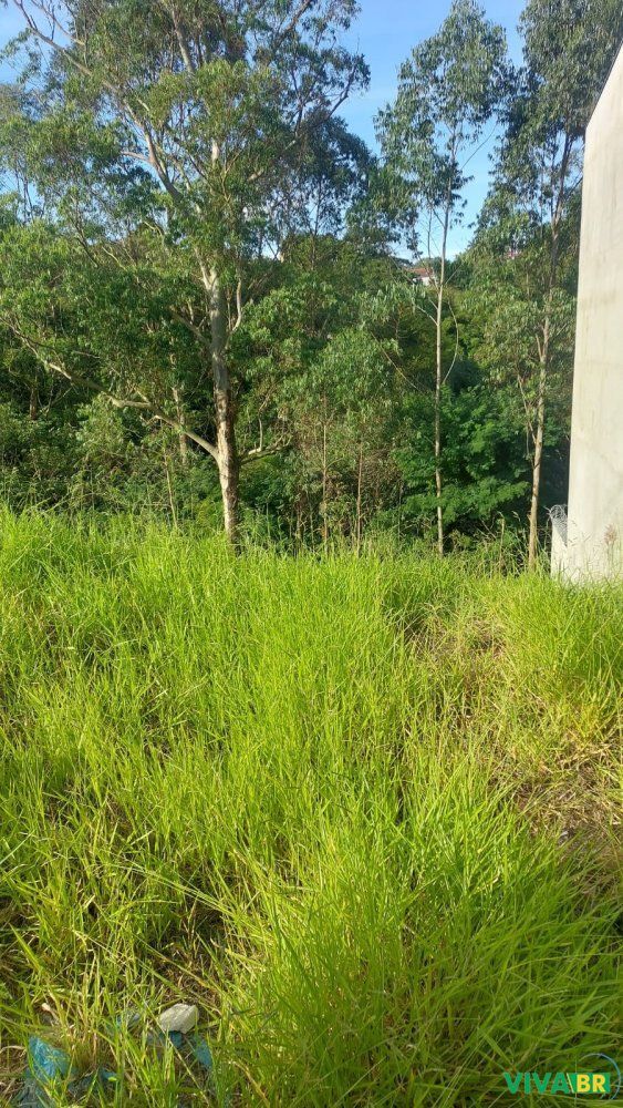 Terreno, 125 m² - Foto 2