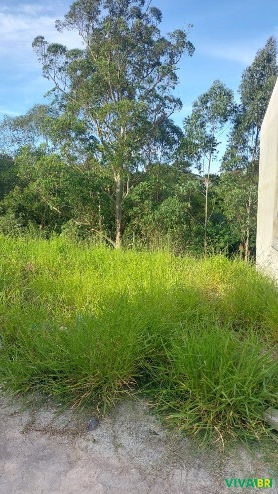 Terreno, 125 m² - Foto 6
