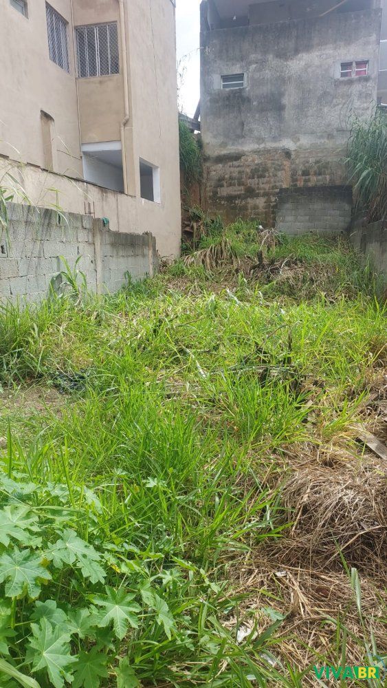 Terreno, 185 m² - Foto 2