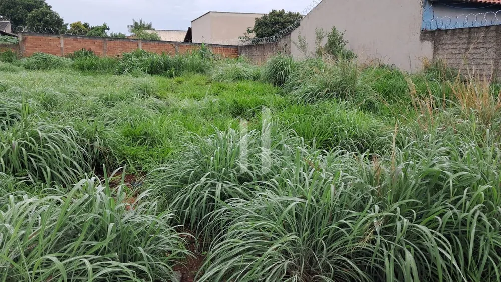 Terreno, 360 m² - Foto 3