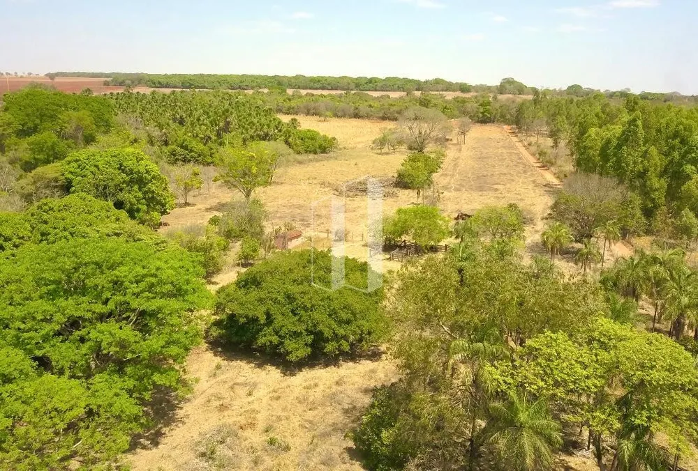 Chácara, 3 hectares - Foto 4