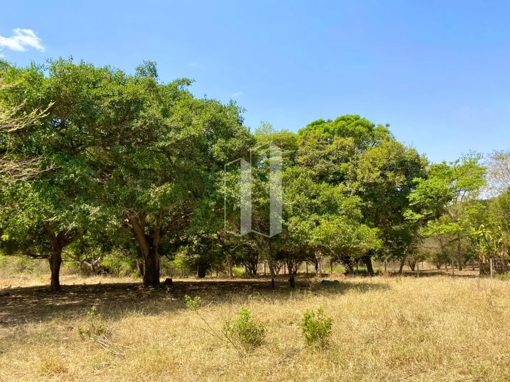 Chácara, 3 hectares - Foto 1