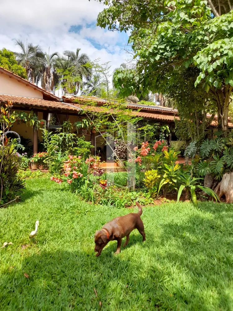 Chácara, 1000 m² - Foto 3
