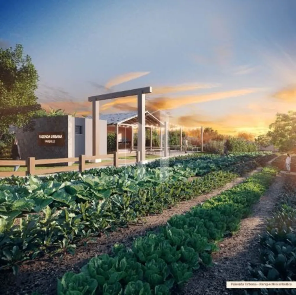 Terreno, 382 m² - Foto 4