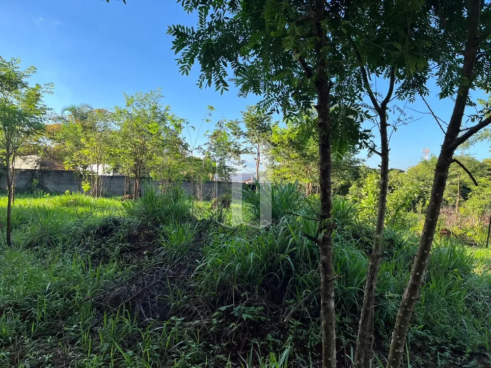 Loteamento e Condomínio, 5000 m² - Foto 8