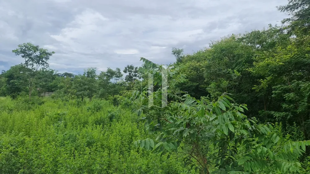 Loteamento e Condomínio, 5000 m² - Foto 3