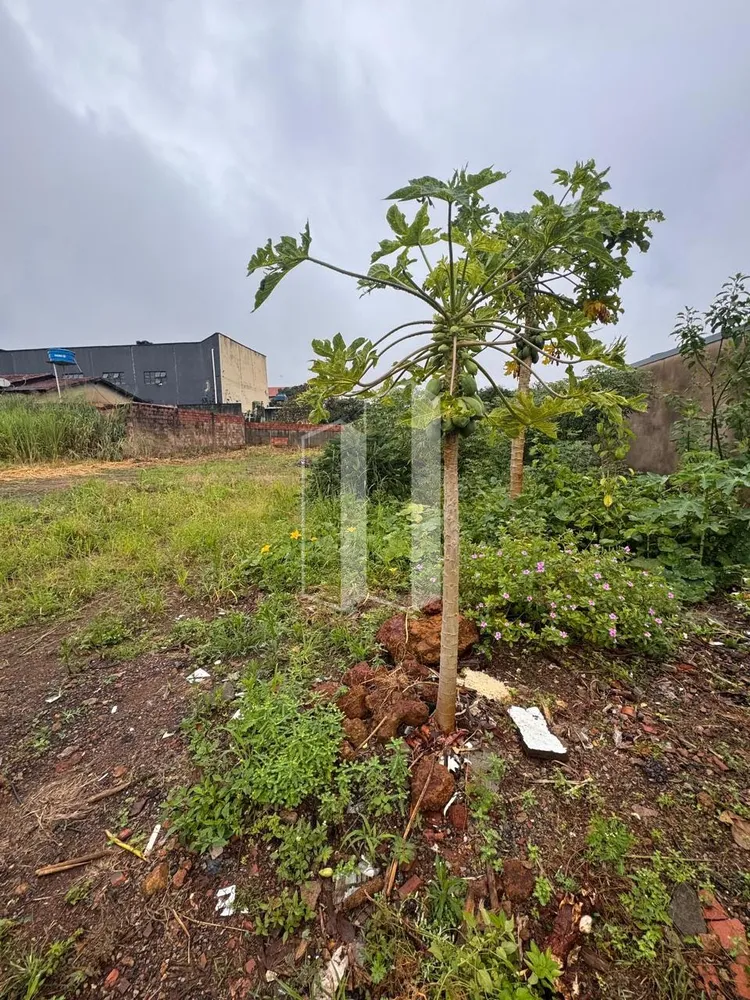 Terreno, 300 m² - Foto 1
