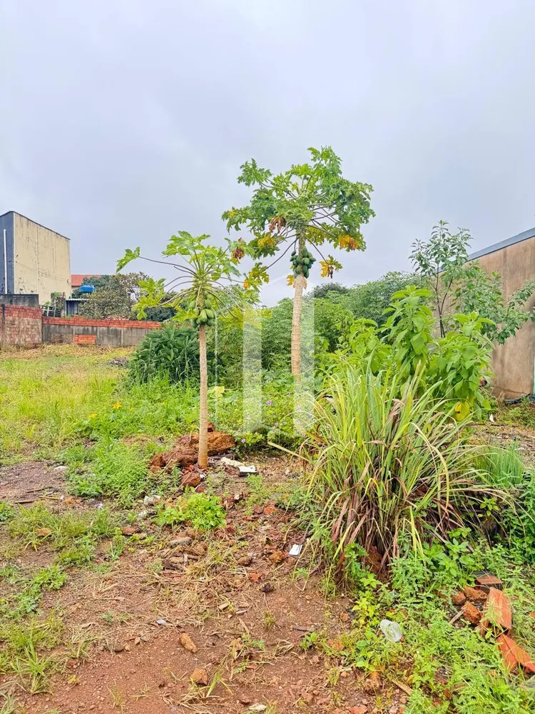 Terreno, 300 m² - Foto 2