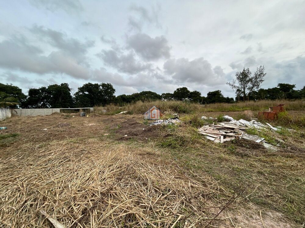 Terreno - Foto 3