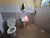 Casa, 3 quartos, 190 m² - Foto 25