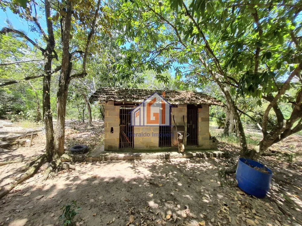 Sítio, 3 quartos, 165 m² - Foto 10