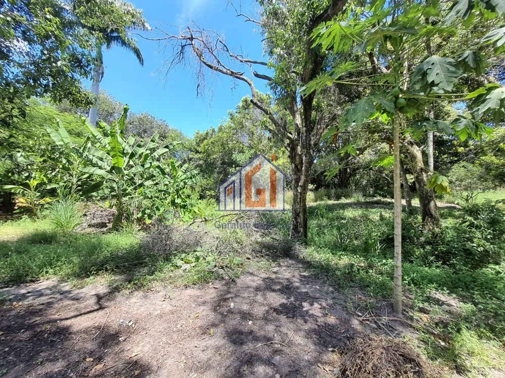 Sítio, 3 quartos, 165 m² - Foto 41