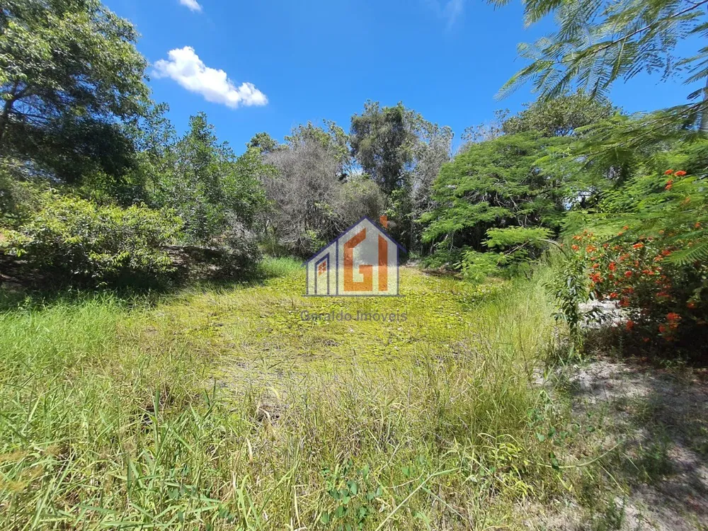 Sítio, 3 quartos, 165 m² - Foto 37