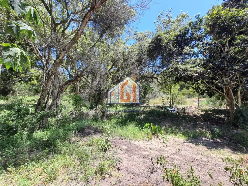 Sítio, 3 quartos, 165 m² - Foto 42