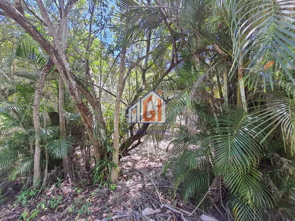 Sítio, 3 quartos, 165 m² - Foto 19