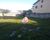 Terreno, 315 m² - Foto 2