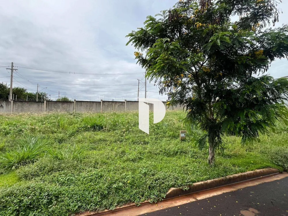 Loteamento e Condomínio, 250 m² - Foto 2