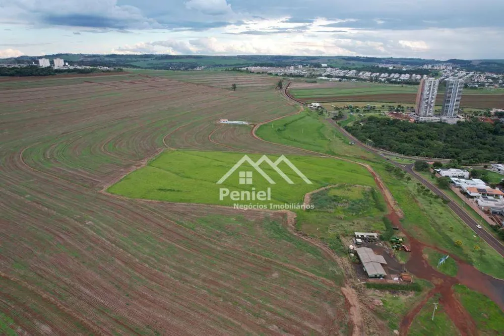 Terreno, 8000 m² - Foto 2