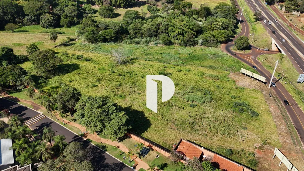 Terreno, 2 hectares - Foto 4