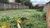 Terreno, 408 m² - Foto 3