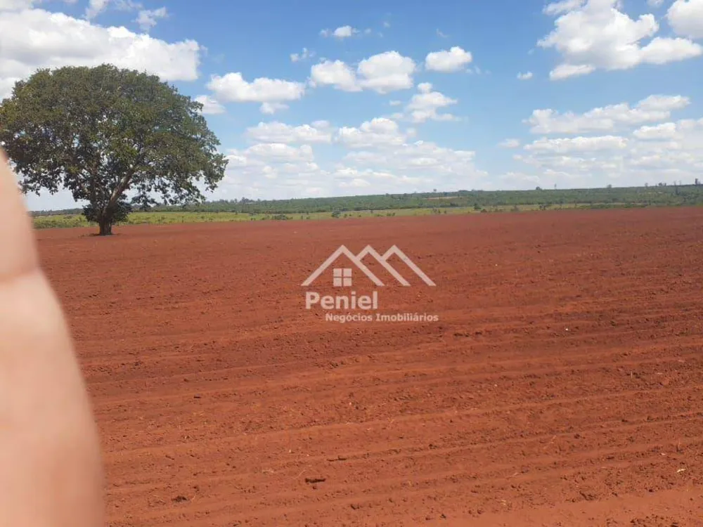 Fazenda, 220 hectares - Foto 5