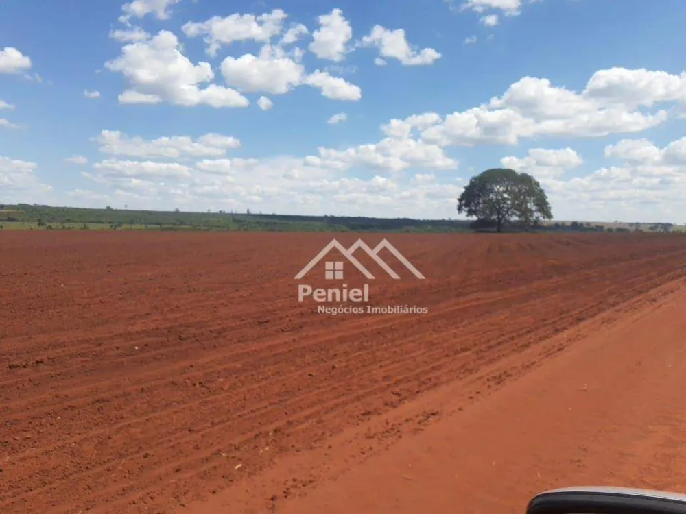 Fazenda, 220 hectares - Foto 6