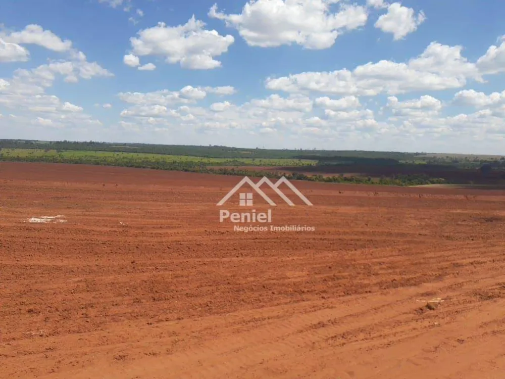 Fazenda, 220 hectares - Foto 10