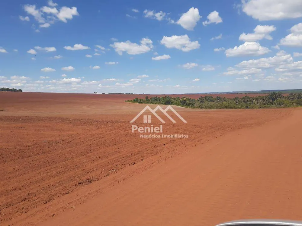 Fazenda, 220 hectares - Foto 8