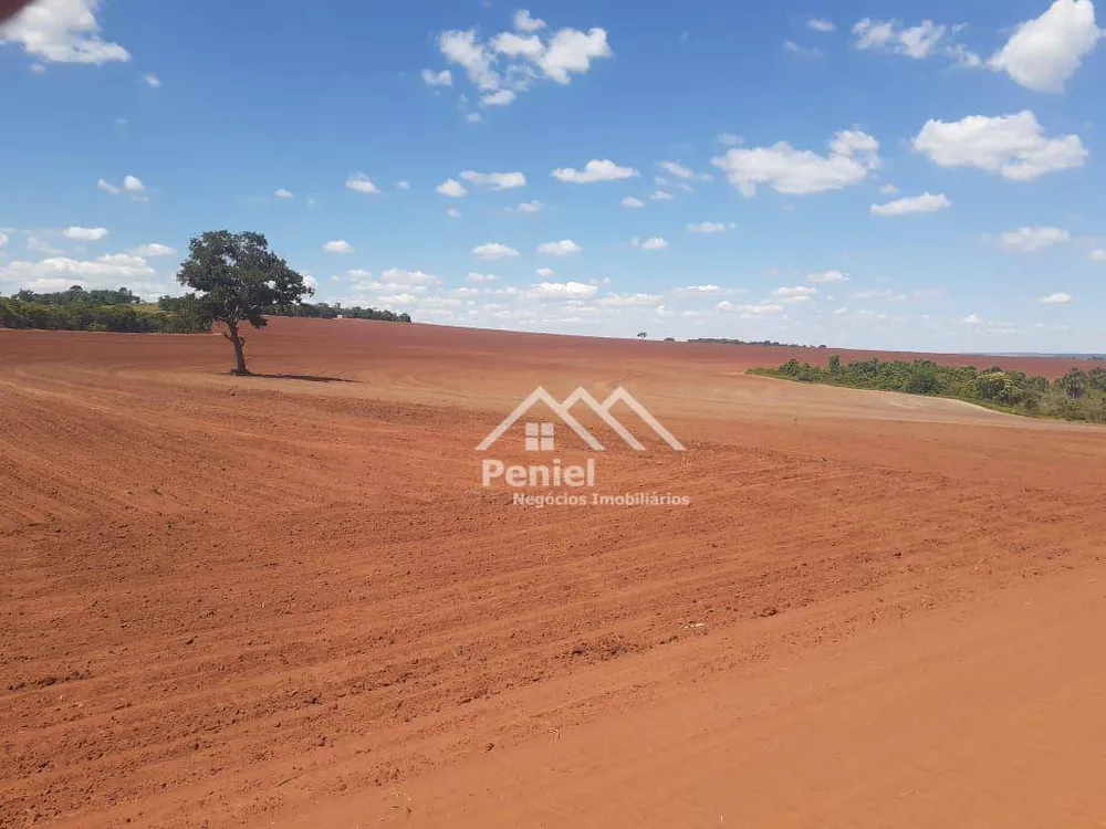 Fazenda, 220 hectares - Foto 9