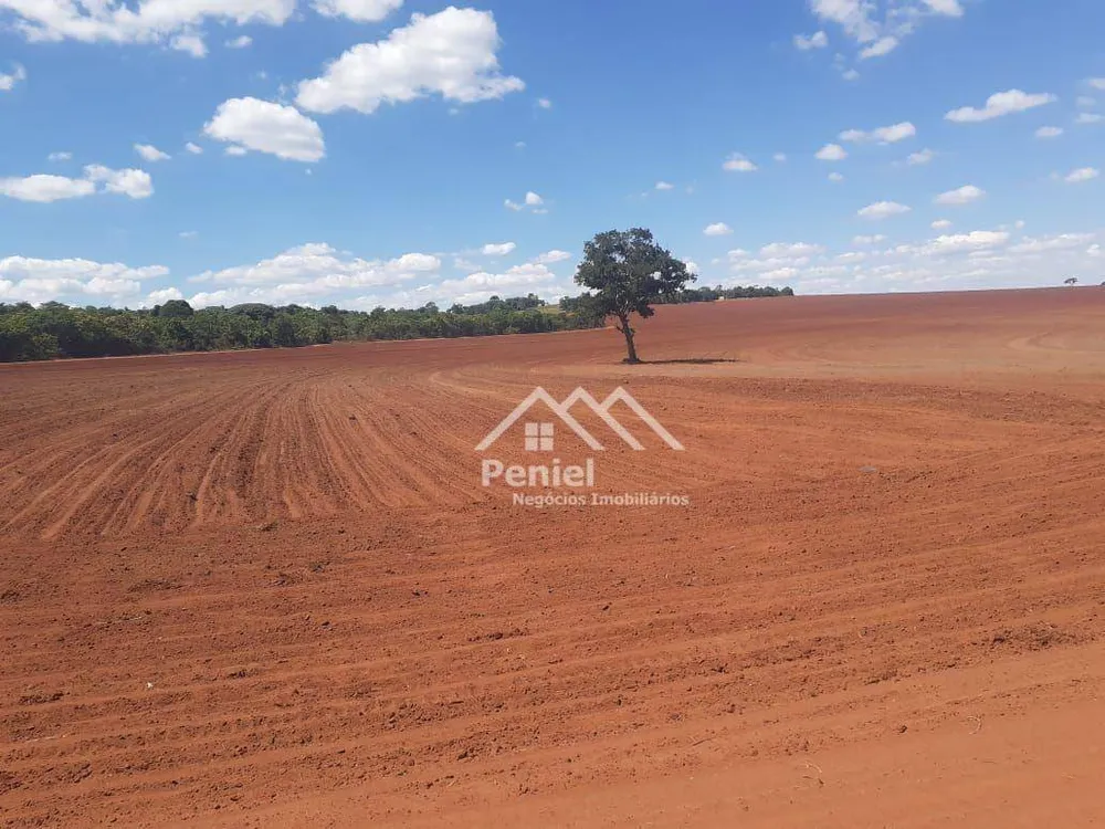Fazenda, 220 hectares - Foto 7