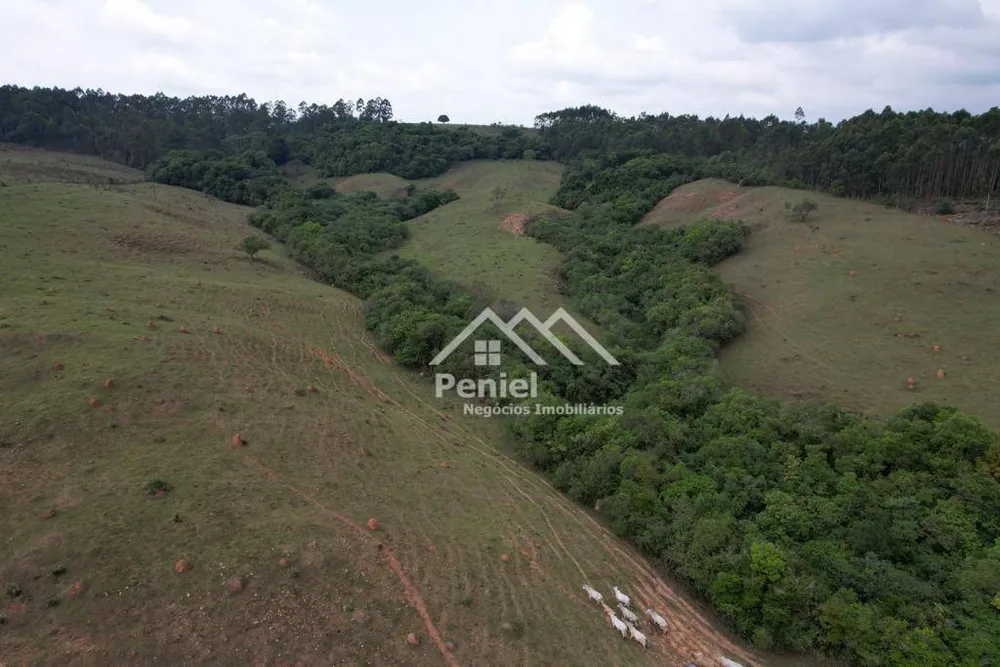Fazenda, 19 hectares - Foto 12