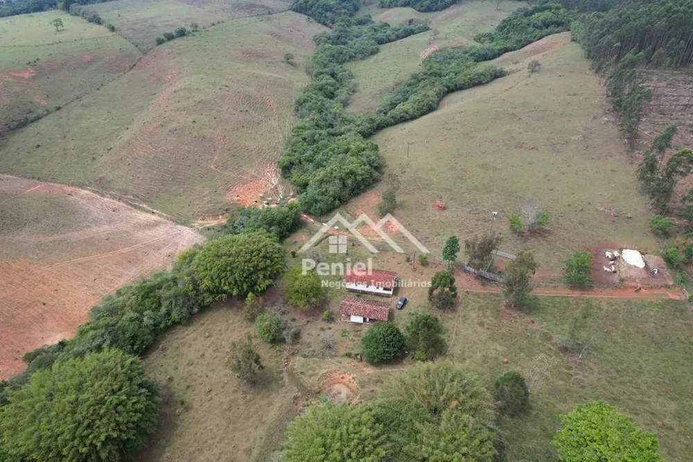 Fazenda, 19 hectares - Foto 6
