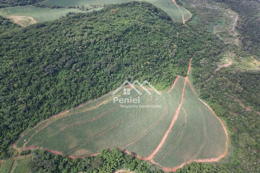 Fazenda, 174 hectares - Foto 4