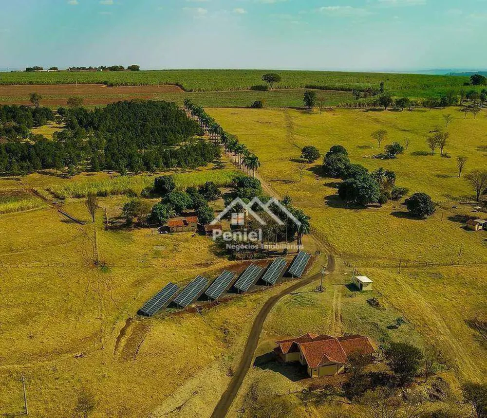 Sítio, 10 quartos, 28 hectares - Foto 8