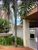 Apartamento, 3 quartos, 67 m² - Foto 4