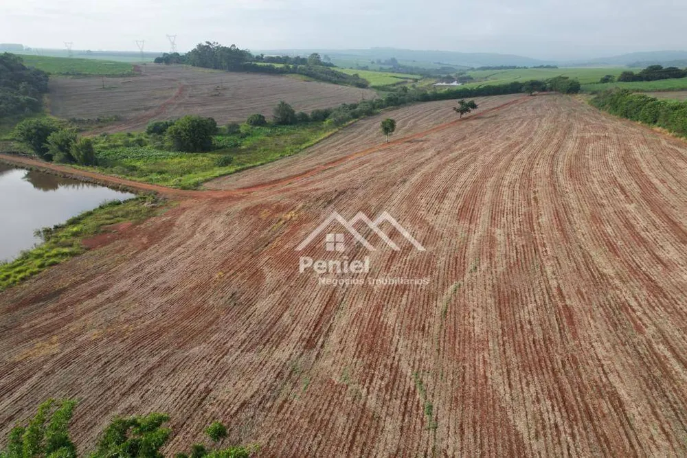 Fazenda, 174 hectares - Foto 4