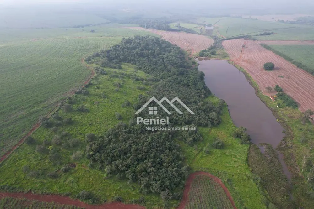 Fazenda, 174 hectares - Foto 7