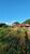 Fazenda, 222 hectares - Foto 3