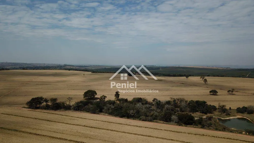 Fazenda, 456 hectares - Foto 1